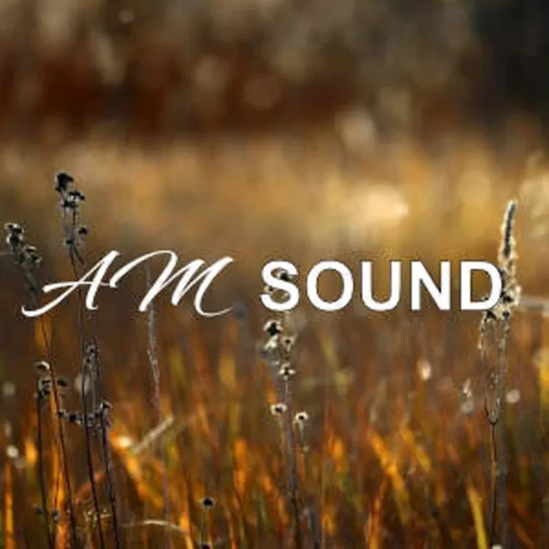 AM Sound